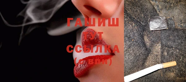 прущий лед Бородино