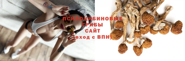 прущий лед Бородино
