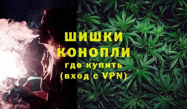 гидра Верея