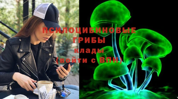 a pvp Богородицк