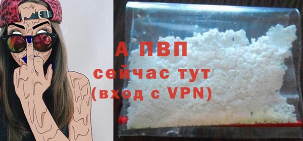 таблы Богданович