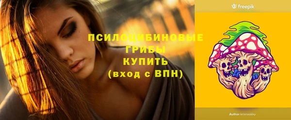 ГАЛЛЮЦИНОГЕННЫЕ ГРИБЫ Богородицк